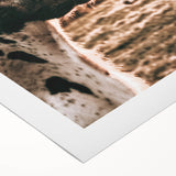 Charming Close-Up Cow - Rustic Farmhouse Wall Art Decor