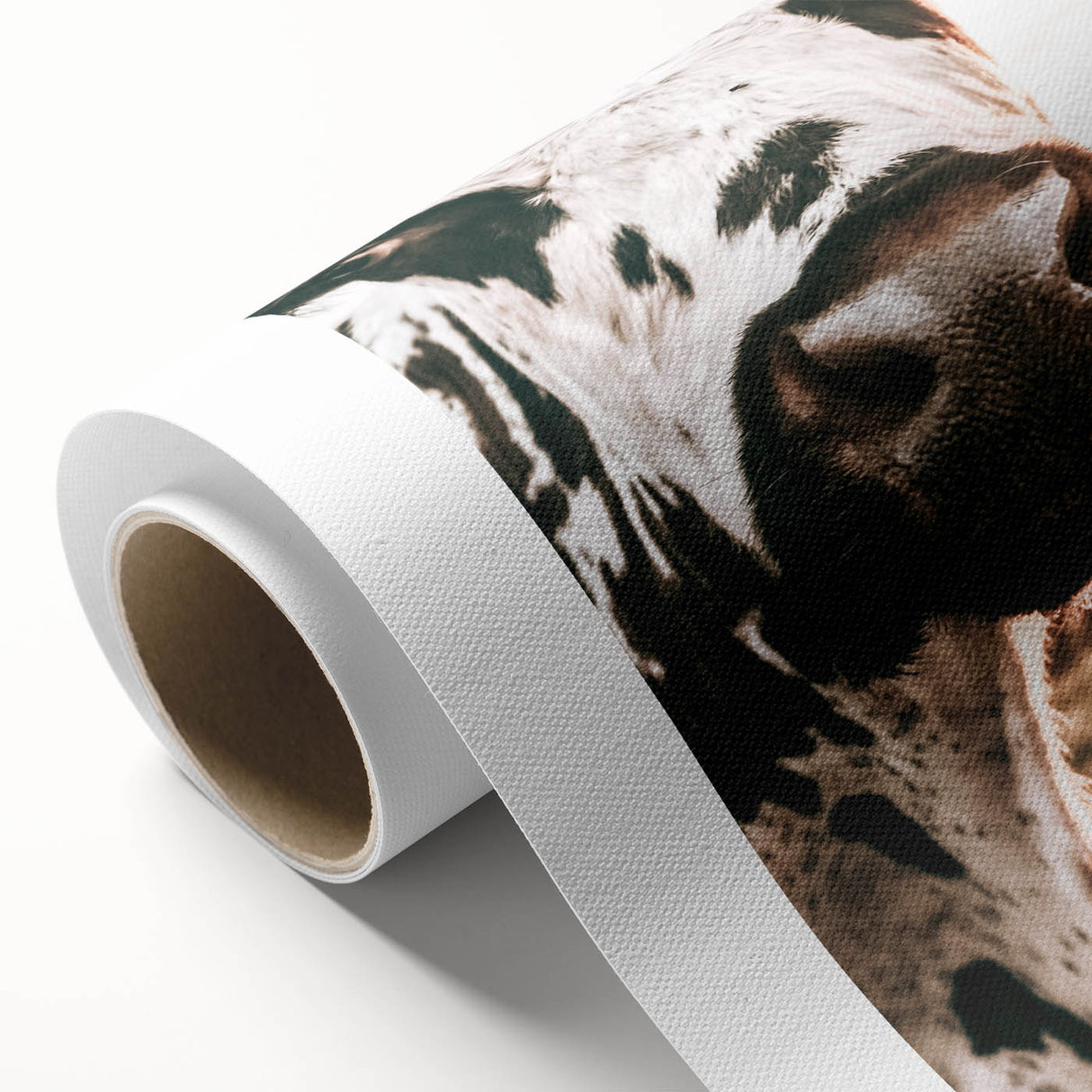 Charming Close-Up Cow - Rustic Farmhouse Wall Art Decor