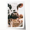 Charming Close-Up Cow - Rustic Farmhouse Wall Art Decor