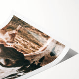 Charming Close-Up Cow - Rustic Farmhouse Wall Art Decor