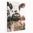 Charming Close-Up Cow - Rustic Farmhouse Wall Art Decor