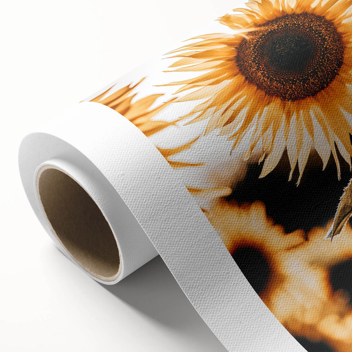 Farmhouse Wall Art Sunflower in Sunlight | Rustic Country Decor