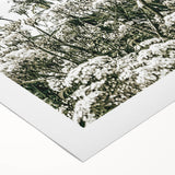 Farmhouse Wildflower Wall Art | Rustic Country Nature-Inspired Decor