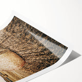 Farmhouse Wall Art Hay Bale Field Print | Rustic Country Harvest Decor