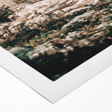 Coastal Wooden Cabin Wall Art | Farmhouse Rustic Decor by the Water