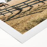 Farmhouse Wall Art Horses Grazing Print | Rustic Country Barn Decor