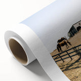 Farmhouse Wall Art Horses Grazing Print | Rustic Country Barn Decor