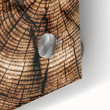 Rustic Farmhouse Wall Art – Wood Grain Tree Rings for Country Decor