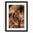 Rustic Farmhouse Wall Art – Wood Grain Tree Rings for Country Decor