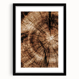 Rustic Farmhouse Wall Art – Wood Grain Tree Rings for Country Decor