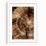 Rustic Farmhouse Wall Art – Wood Grain Tree Rings for Country Decor