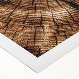 Rustic Farmhouse Wall Art – Wood Grain Tree Rings for Country Decor