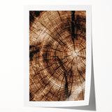Rustic Farmhouse Wall Art – Wood Grain Tree Rings for Country Decor
