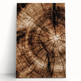 Rustic Farmhouse Wall Art – Wood Grain Tree Rings for Country Decor
