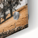 Farmhouse Wall Art – Majestic Trees in Rustic Country Landscape