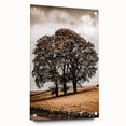 Farmhouse Wall Art – Majestic Trees in Rustic Country Landscape