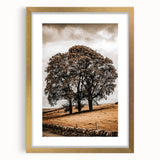 Farmhouse Wall Art – Majestic Trees in Rustic Country Landscape
