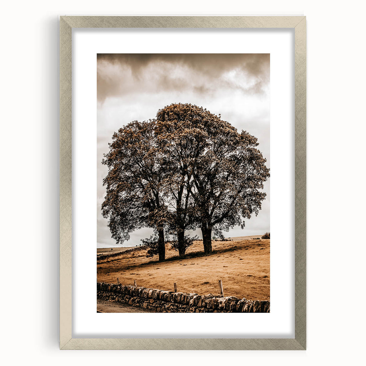Farmhouse Wall Art – Majestic Trees in Rustic Country Landscape