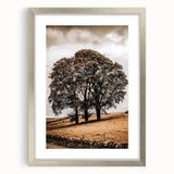 Farmhouse Wall Art – Majestic Trees in Rustic Country Landscape