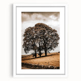 Farmhouse Wall Art – Majestic Trees in Rustic Country Landscape