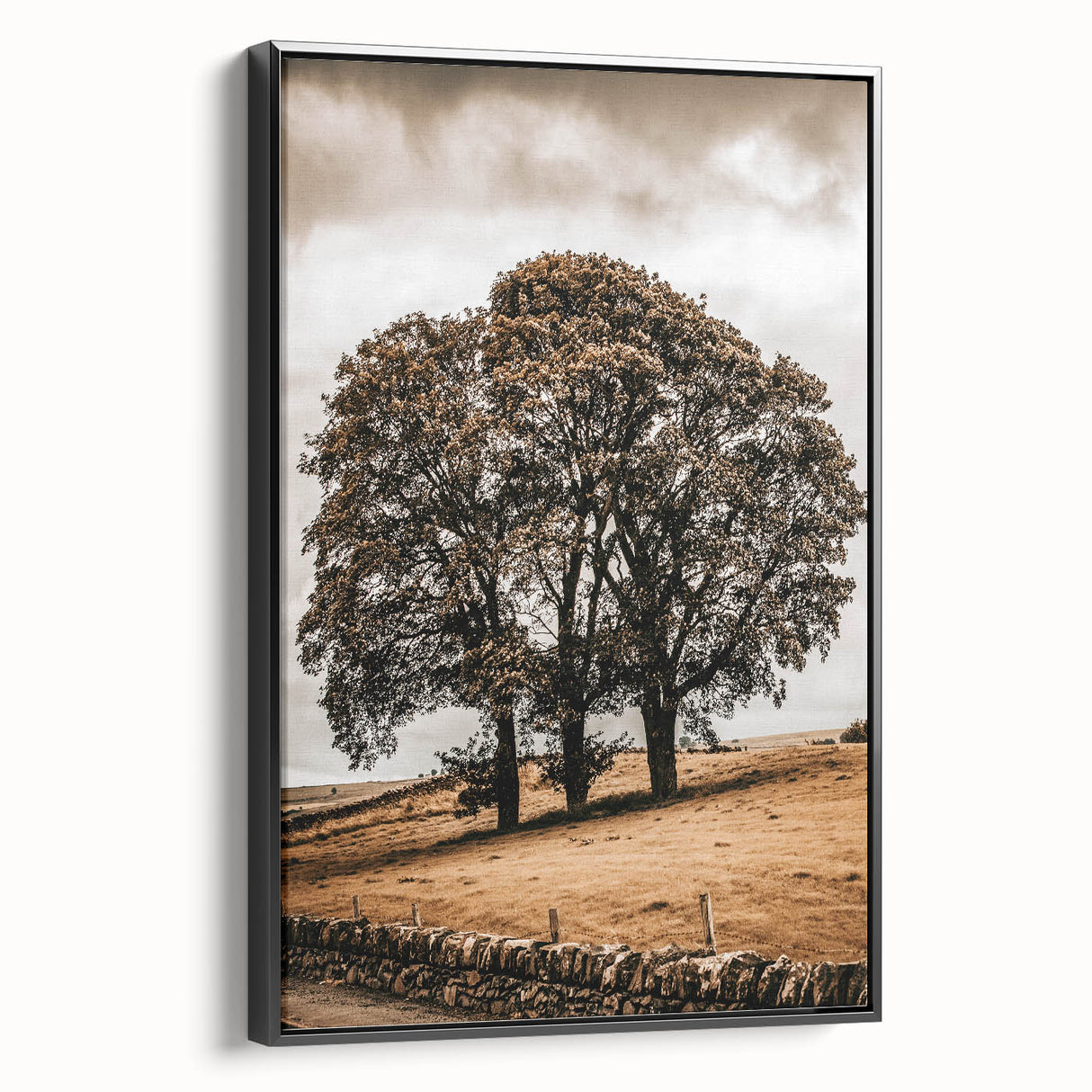 Farmhouse Wall Art – Majestic Trees in Rustic Country Landscape