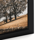 Farmhouse Wall Art – Majestic Trees in Rustic Country Landscape
