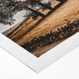 Farmhouse Wall Art – Majestic Trees in Rustic Country Landscape