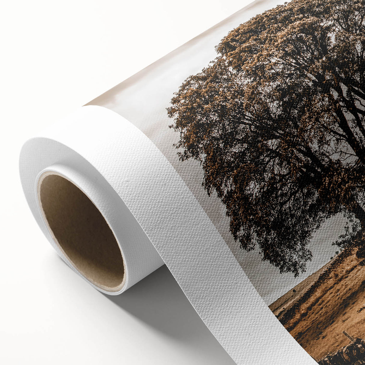 Farmhouse Wall Art – Majestic Trees in Rustic Country Landscape