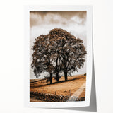Farmhouse Wall Art – Majestic Trees in Rustic Country Landscape