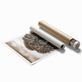 Farmhouse Wall Art – Majestic Trees in Rustic Country Landscape