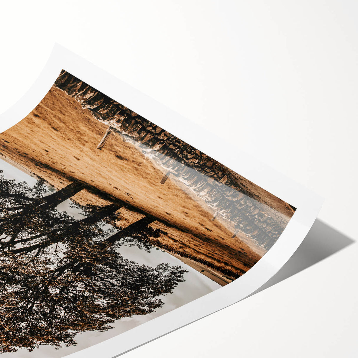 Farmhouse Wall Art – Majestic Trees in Rustic Country Landscape