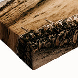 Farmhouse Wall Art – Majestic Trees in Rustic Country Landscape