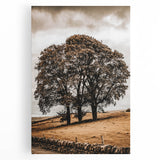 Farmhouse Wall Art – Majestic Trees in Rustic Country Landscape