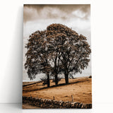 Farmhouse Wall Art – Majestic Trees in Rustic Country Landscape