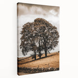 Farmhouse Wall Art – Majestic Trees in Rustic Country Landscape