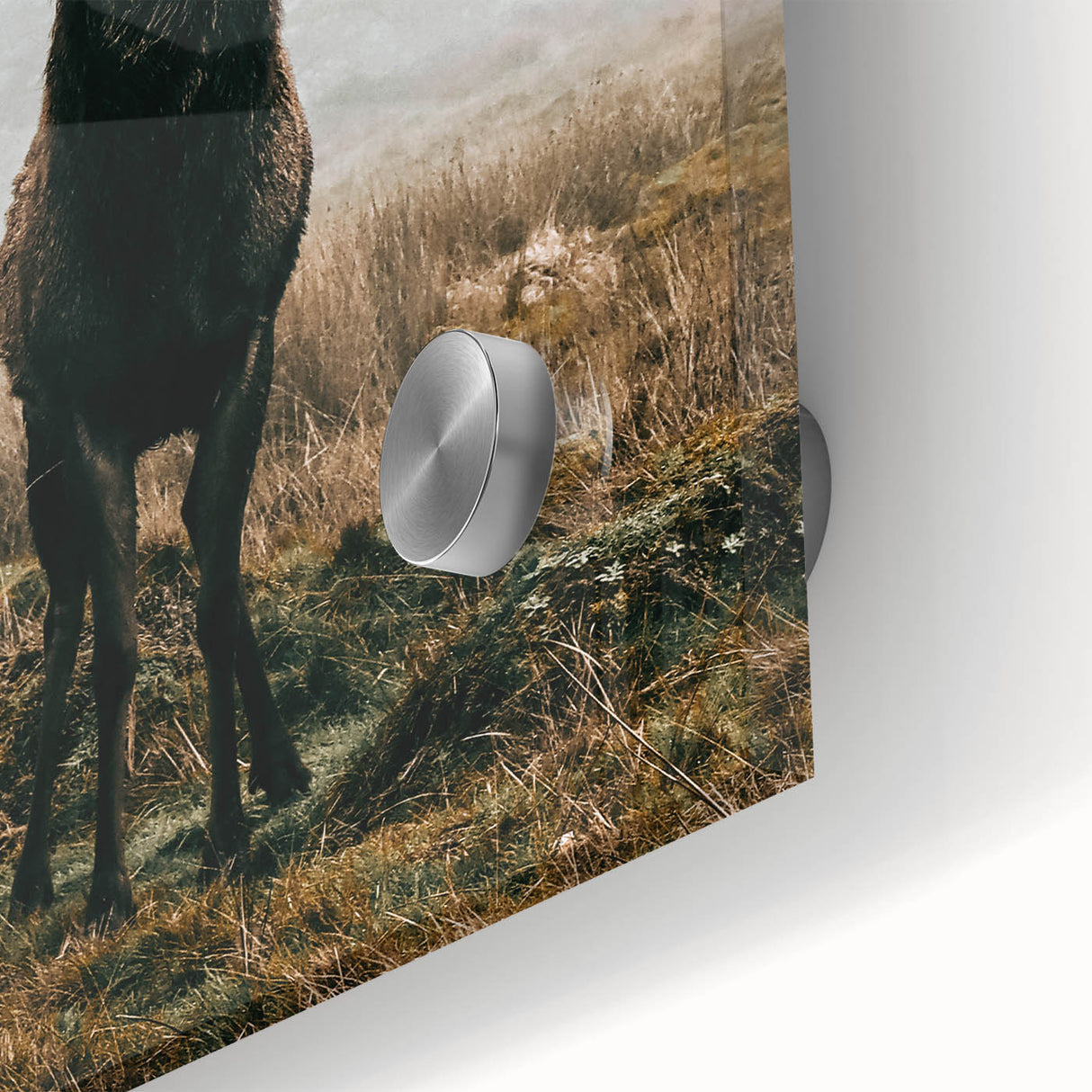 Farmhouse Wall Art – Majestic Stag in Misty Landscape for Rustic Homes