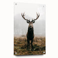 Farmhouse Wall Art – Majestic Stag in Misty Landscape for Rustic Homes