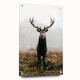Farmhouse Wall Art – Majestic Stag in Misty Landscape for Rustic Homes