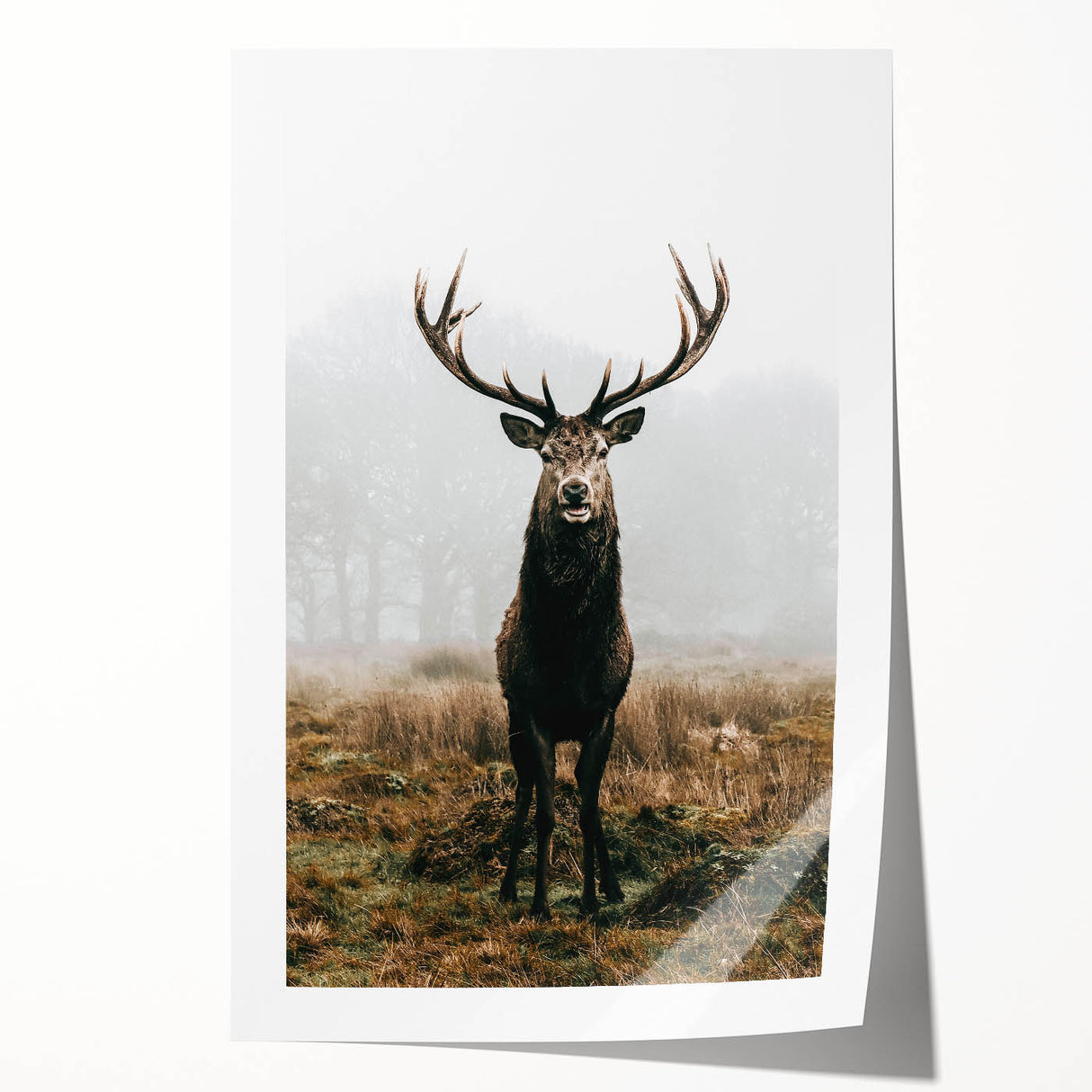 Farmhouse Wall Art – Majestic Stag in Misty Landscape for Rustic Homes