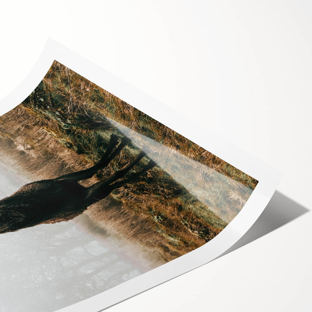 Farmhouse Wall Art – Majestic Stag in Misty Landscape for Rustic Homes