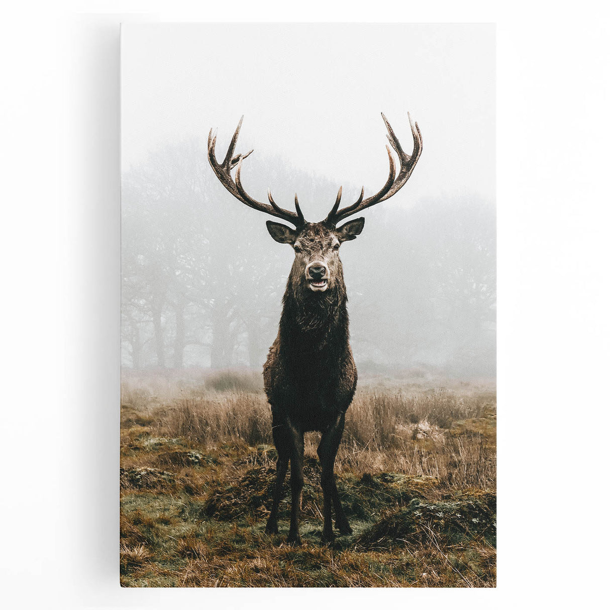 Farmhouse Wall Art – Majestic Stag in Misty Landscape for Rustic Homes