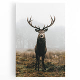 Farmhouse Wall Art – Majestic Stag in Misty Landscape for Rustic Homes
