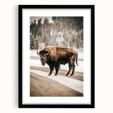 Farmhouse Wall Art – Majestic Bison in Winter Landscape for Rustic Homes