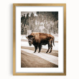 Farmhouse Wall Art – Majestic Bison in Winter Landscape for Rustic Homes