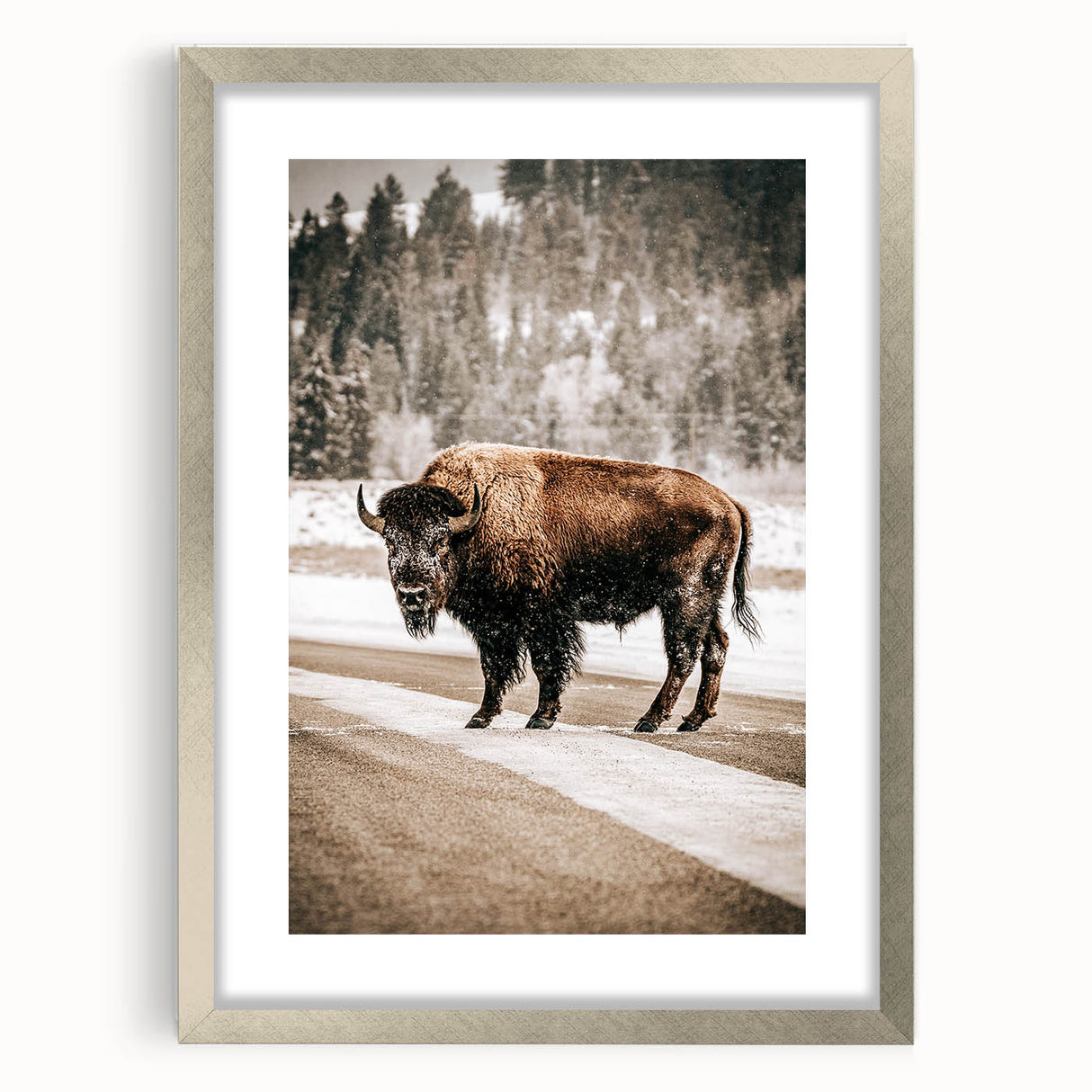 Farmhouse Wall Art – Majestic Bison in Winter Landscape for Rustic Homes