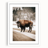 Farmhouse Wall Art – Majestic Bison in Winter Landscape for Rustic Homes