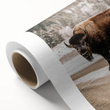 Farmhouse Wall Art – Majestic Bison in Winter Landscape for Rustic Homes