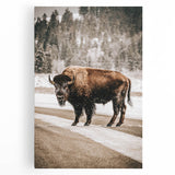 Farmhouse Wall Art – Majestic Bison in Winter Landscape for Rustic Homes