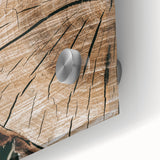 Rustic Farmhouse Wall Art – Tree Cross-Section for Natural Decor