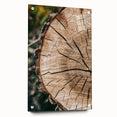 Rustic Farmhouse Wall Art – Tree Cross-Section for Natural Decor